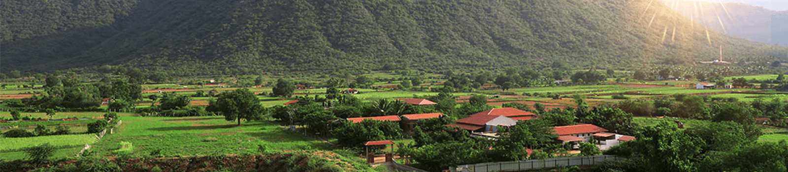 ASHRAM STAYS AND SEVA